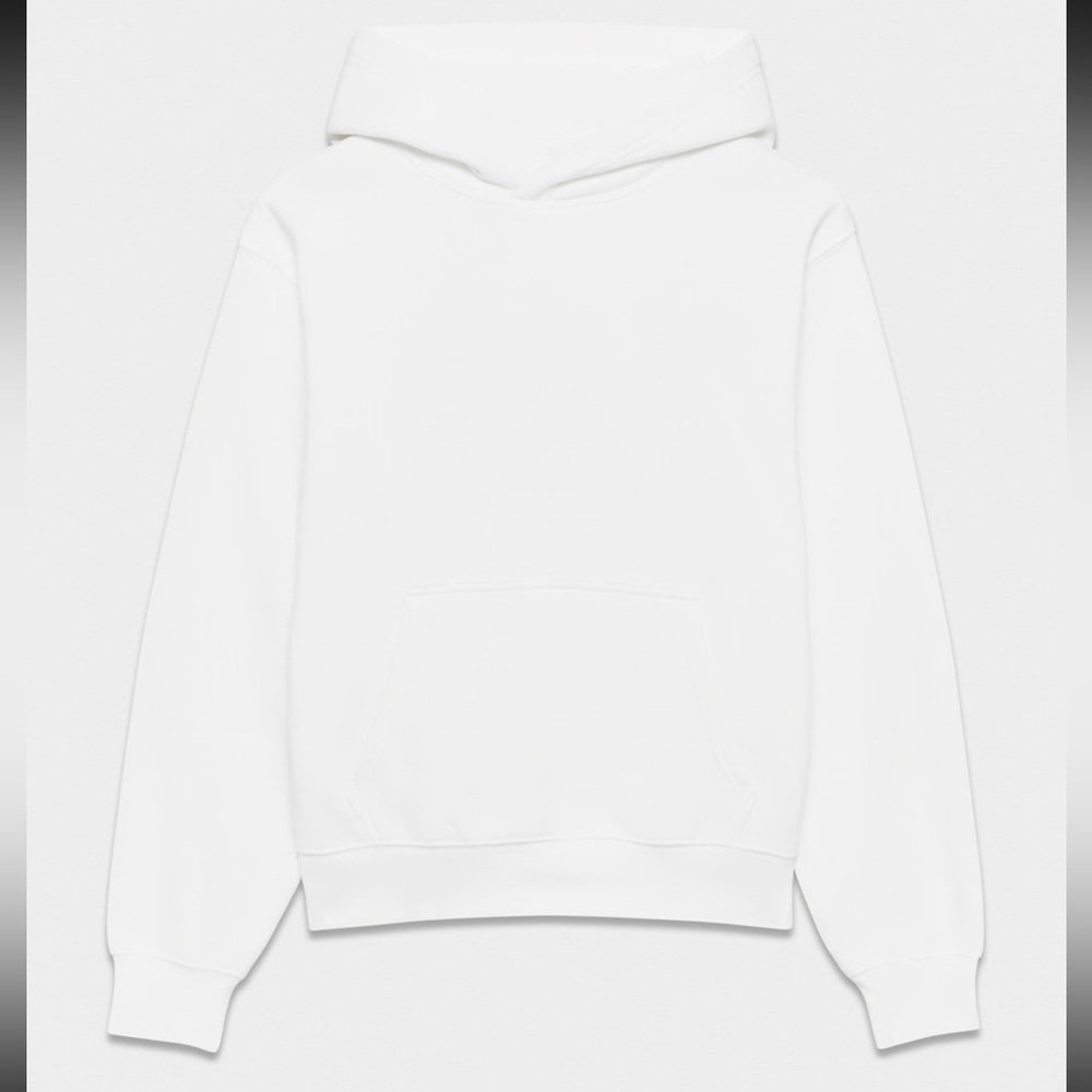 Aritzia Hoodie